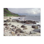 Wild Beach Postcard