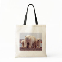Wild Bears Bag