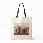Wild Bears bags