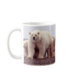 Wild Bears mugs