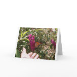 Wild Beauty cards