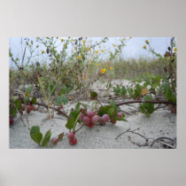 Wild Berries on the Beach