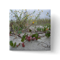 Wild Berries on the Beach Buttons