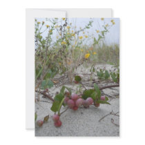 Wild Berries on the Beach Invites
