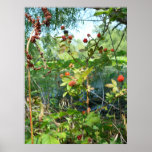Wild Berries posters