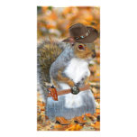 Wild Bill ‘Big Boy’ photo cards