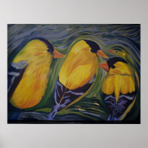 Wild Bird Print or Poster : American Goldfinches
