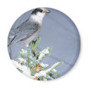Wild Bird Winter magnets
