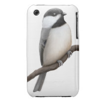 Wild Black Capped Chickadee iPhone 3 Case