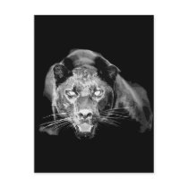 Wild Black Jaguar Cat Eyes Postcard