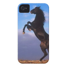 Wild Black Stallion Rearing Horse iPhone 4 Cover