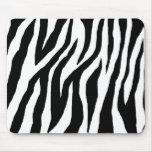 Wild Black & White Zebra