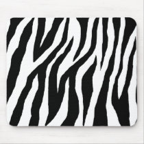 Wild Black & White Zebra