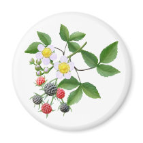 Wild Blackberries Magnet
