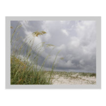 WIld Blue  Yonder Post Cards