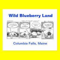 Wild Blueberry Land postcards