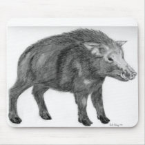 Wild Boar, Defensive Stance