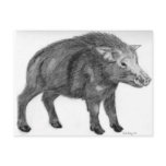 Wild Boar, Defensive Stance