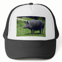 Wild Boar Mesh Hat