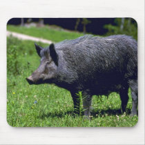Wild Boar Mouse Pad