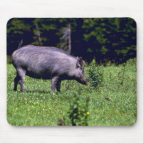 Wild Boar Mouse Pad