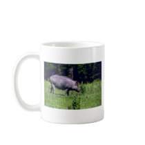 Wild Boar Coffee Mugs