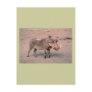 Wild Boar Post Card