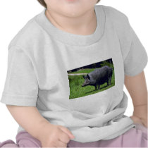Wild Boar T Shirts