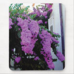 Wild Bouganvilla Mousepad
