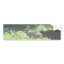 Wild Bunny Bumper Sticker