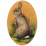 "Wild Bunny Rabbit" Pin photo sculptures