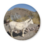 Wild Burro magnets