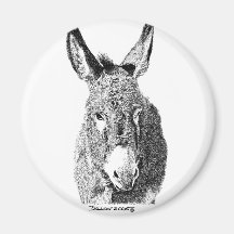 Wild Burro Magnet