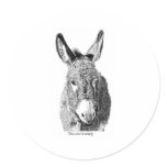 Wild Burro stickers