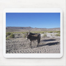 Wild Burros in Nevada Mouse Pads