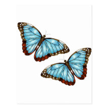 Wild Butterflies Post Cards