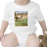 Wild Camels Baby Bodysuit