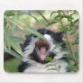 Wild Cat Roar Mouse Pads