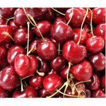 Wild Cherries Cut Out