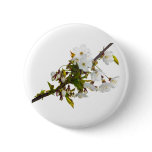 Wild Cherry Blossom Button