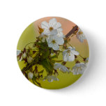 Wild Cherry Blossom Button