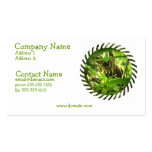 Wild Coati Business Card