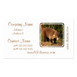 Wild Coati Mundi Business Cards