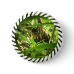 Wild Coati Round Button