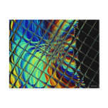 Wild colour-8 postcards