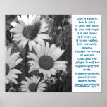 Wild Daisies Love posters