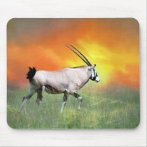 Wild deer at sunset mousepad