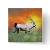 Wild deer at sunset pins