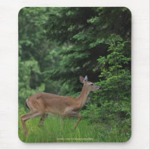 Wild Deer Entering Forest Wildlife Photo Mousepad