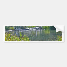 Wild Deschutes River, Oregon Bumper Sticker